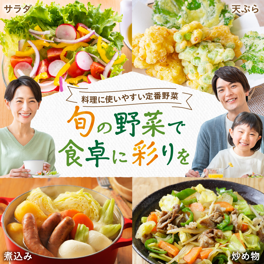 【定期便／年12回／毎月お届け】【道の駅むなかた】 旬のお野菜詰合せセット_HB0124