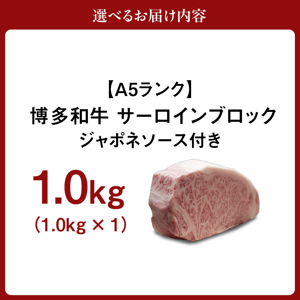 【A5ランク】博多和牛サーロインブロック1.0kg（ジャポネソース付）【伊豆丸商店】_HA0181