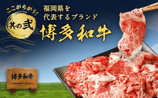 物価高に負けない　博多和牛切り落とし1.2kg(400g×3パック)ジャポネソース付き【伊豆丸商店】_HA1353