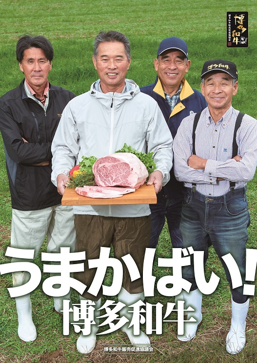 【A5ランク】博多和牛特選スネ・スジ肉800g【伊豆丸商店】_HA0201
