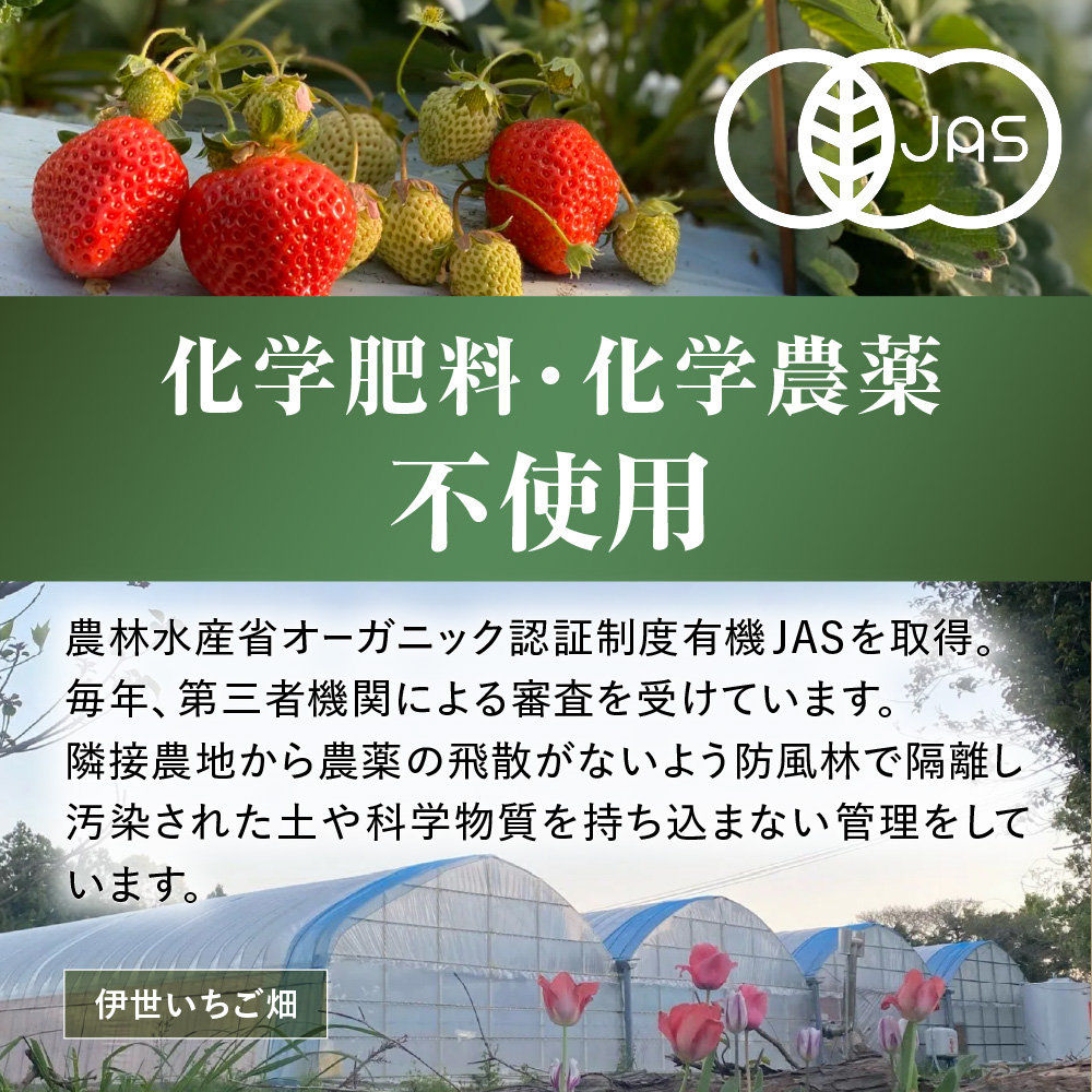 ãã¬ãã¢ã ãªãŒã¬ããã¯ããŸãã ããããã¡ãã ã¹ãã·ã£ã«ã®ãããäŒäžãã¡ãçã_HA0480