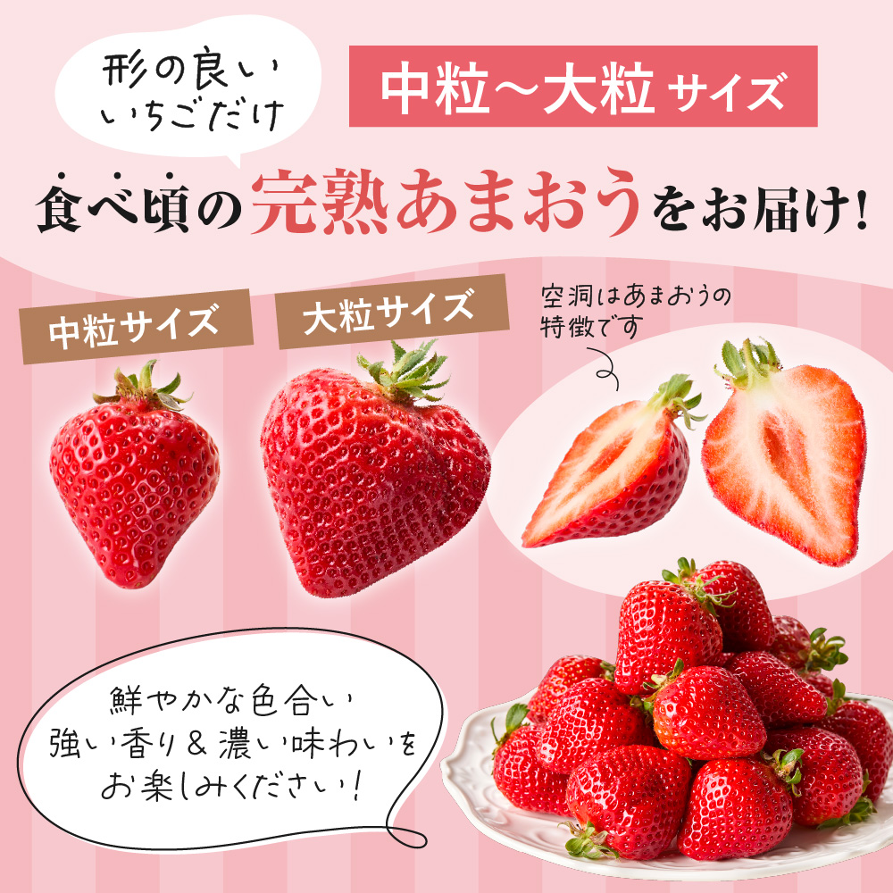 ãã¬ãã¢ã ãªãŒã¬ããã¯ããŸãã ããããã¡ãã ã¹ãã·ã£ã«ã®ãããäŒäžãã¡ãçã_HA0480