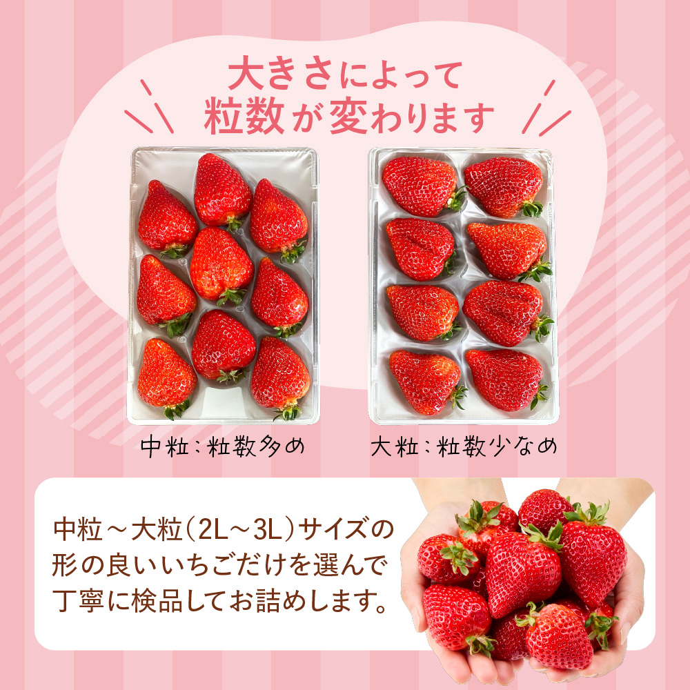 ãã¬ãã¢ã ãªãŒã¬ããã¯ããŸãã ããããã¡ãã ã¹ãã·ã£ã«ã®ãããäŒäžãã¡ãçã_HA0480