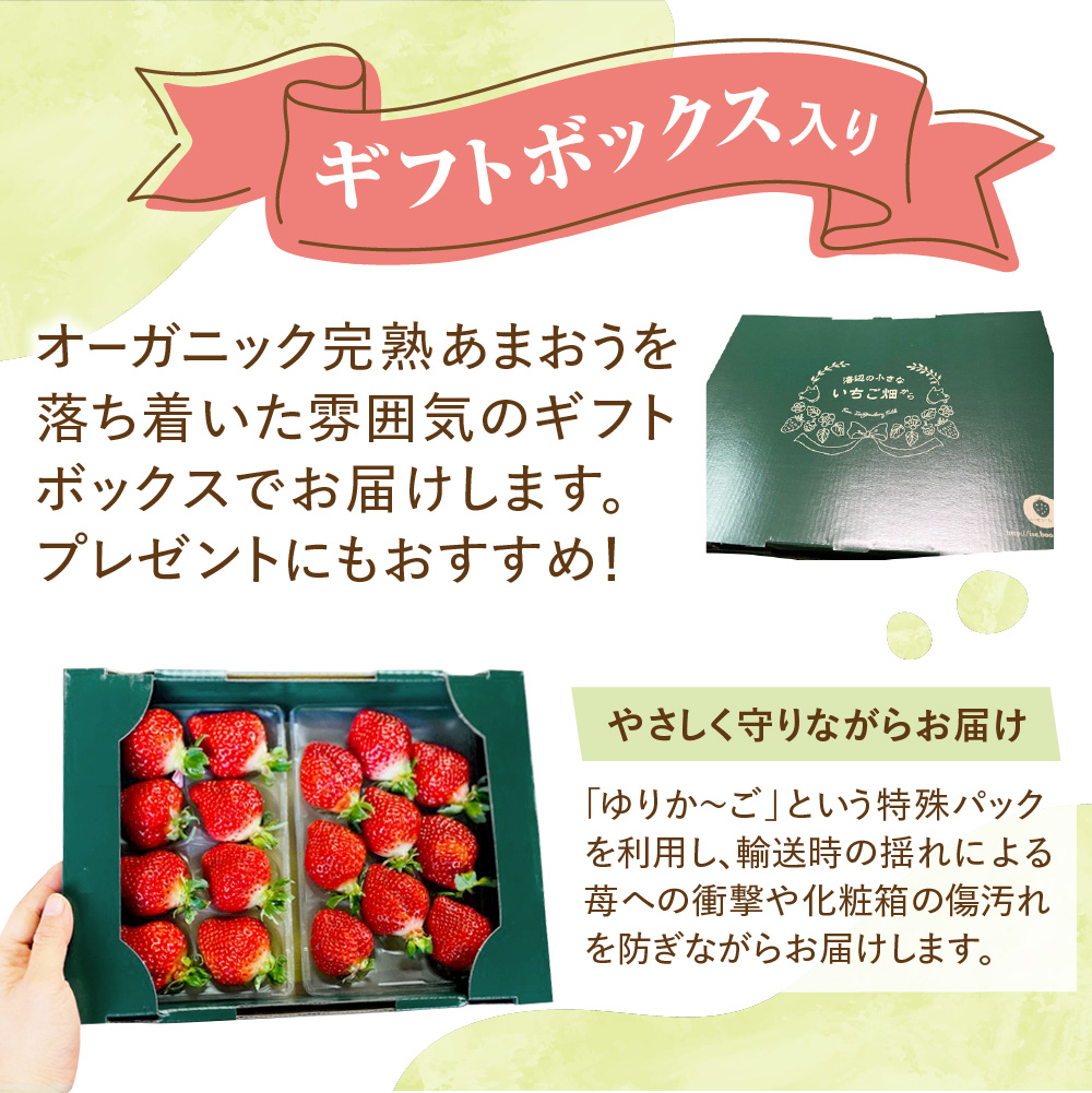 ãã¬ãã¢ã ãªãŒã¬ããã¯ããŸãã ããããã¡ãã ã¹ãã·ã£ã«ã®ãããäŒäžãã¡ãçã_HA0480