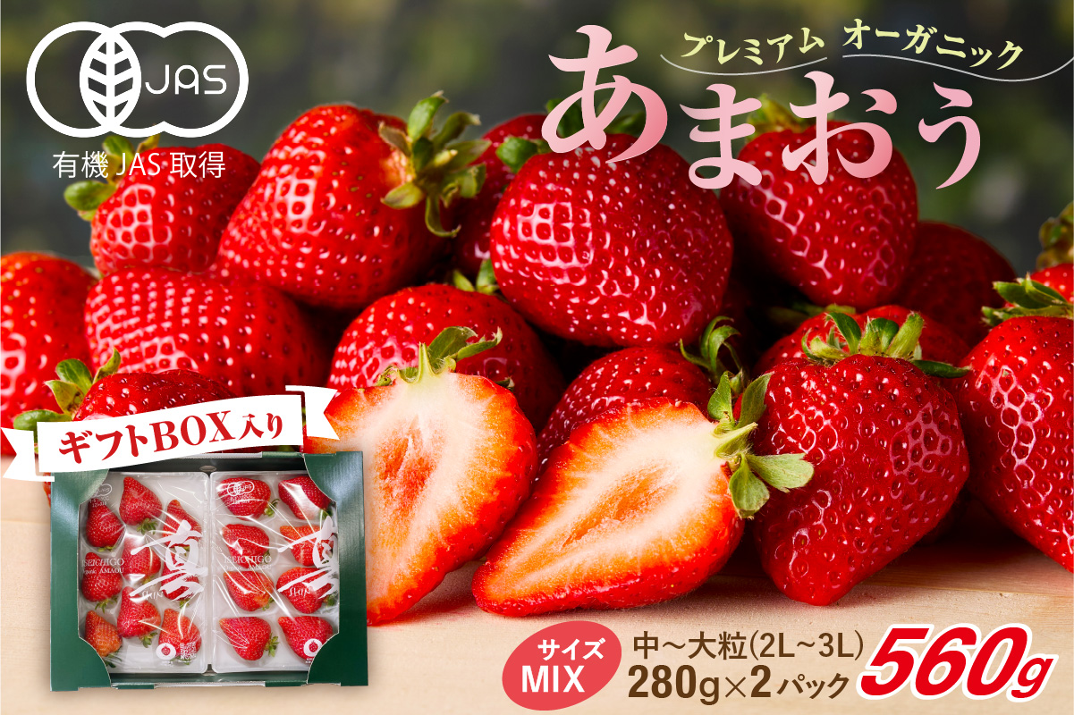 プレミアムオーガニックあまおう 「いせいちご」 スペシャルギフト【伊世いちご畑】_HA0480