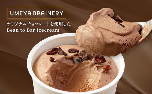 Bean to Bar Icecream (産地別チョコレートアイス ６個入り)【ＵＭＥＹＡＢＲＡＩＮＥＲＹ】_HA0583