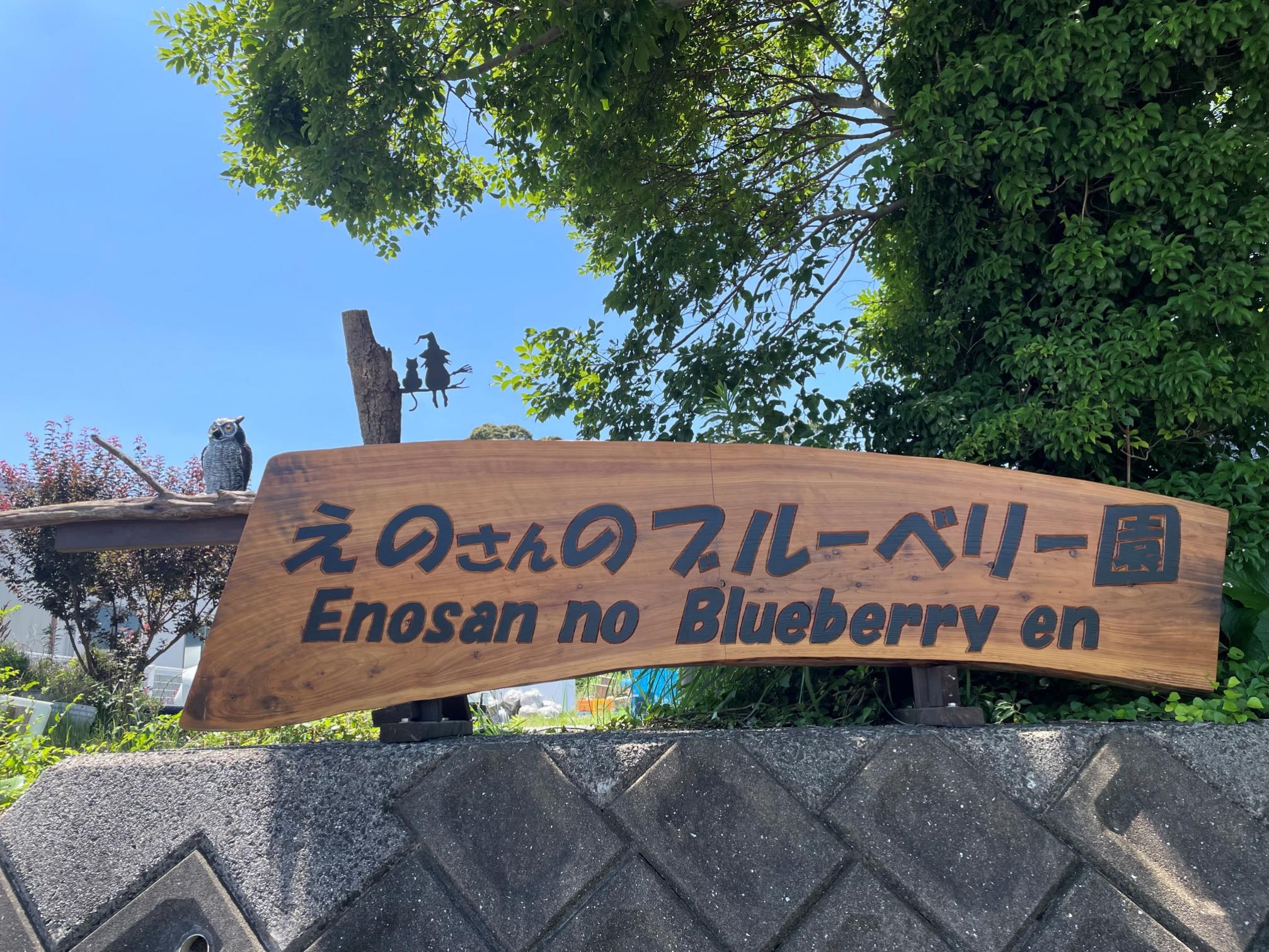 ãæ°ééå®ãã2026幎4ææ«ããé æ¬¡çºéããé©ãã®å€§ããïŒå€§ç²ãã«ãŒããªãŒ(1kg) 蟲è¬äžäœ¿çš ææ©æ œå¹ããã®ããã®ãã«ãŒããªãŒåã_HA1355