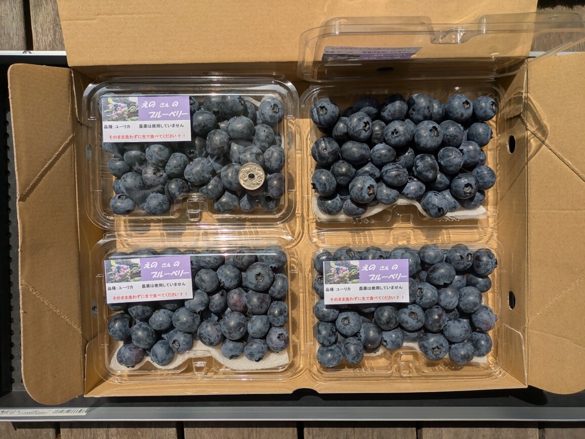 ãæ°ééå®ãã2026幎4ææ«ããé æ¬¡çºéããé©ãã®å€§ããïŒå€§ç²ãã«ãŒããªãŒ(1kg) 蟲è¬äžäœ¿çš ææ©æ œå¹ããã®ããã®ãã«ãŒããªãŒåã_HA1355