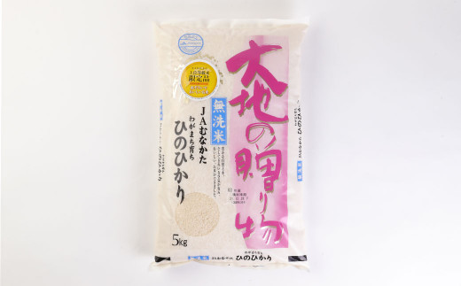 【毎月お届け】無洗米ヒノヒカリ定期便(10kg×12か月）【JAむなかたお米パール店】_HB0190