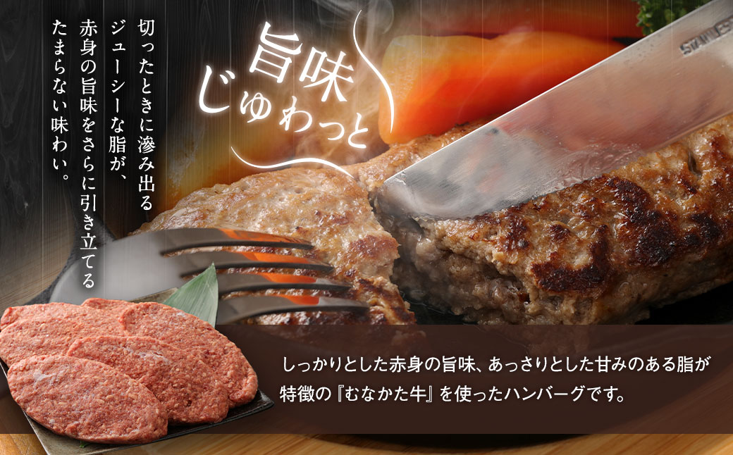 むなかた牛 ハンバーグ 150g×6個 計900g（HOTEL GREGE 総料理長監修 むなかたステーキソース付き）【すすき牧場】_HA0139