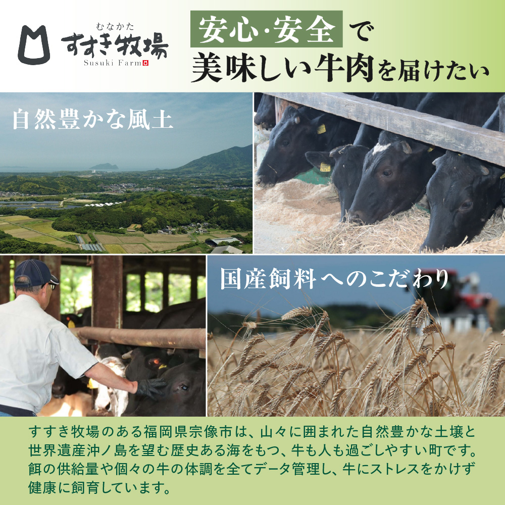 【定期便／年6回／偶数月お届け】むなかた牛ハンバーグ6個セット6回定期便【道の駅むなかた】_HB0038