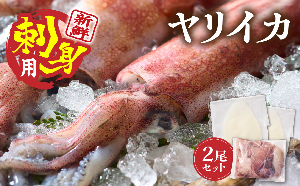 刺身用 新鮮ヤリイカ2杯セット(宗像鐘崎産)【マルケイ水産】_HA0416