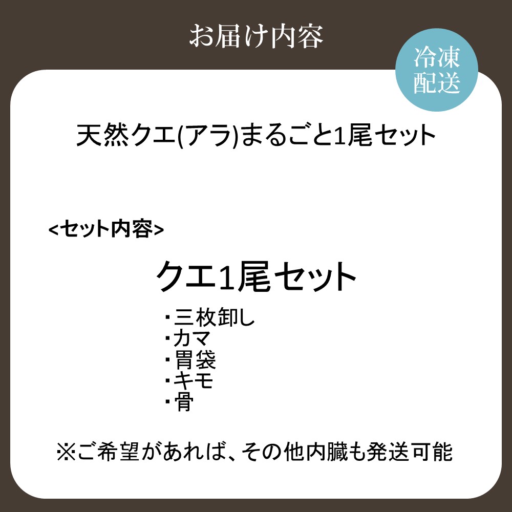 天然クエ（アラ）まるごと1尾セット（約3kg）【マルケイ水産】_HA2007 クエ くえ 天然 まるごと 刺身 鍋 贅沢 高級魚 福岡県宗像市 宗像市 福岡 宗像