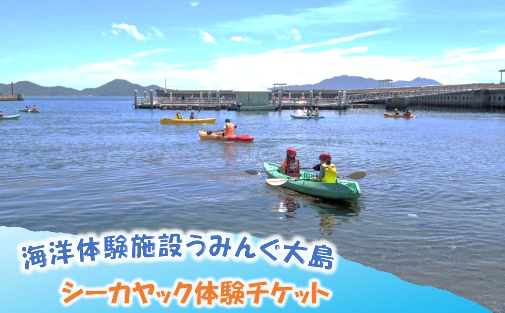 海洋体験施設うみんぐ大島 シーカヤック体験1名様分【(株)むなかた大島】_HA2024 体験 チケット 福岡県宗像市 宗像市 福岡 宗像