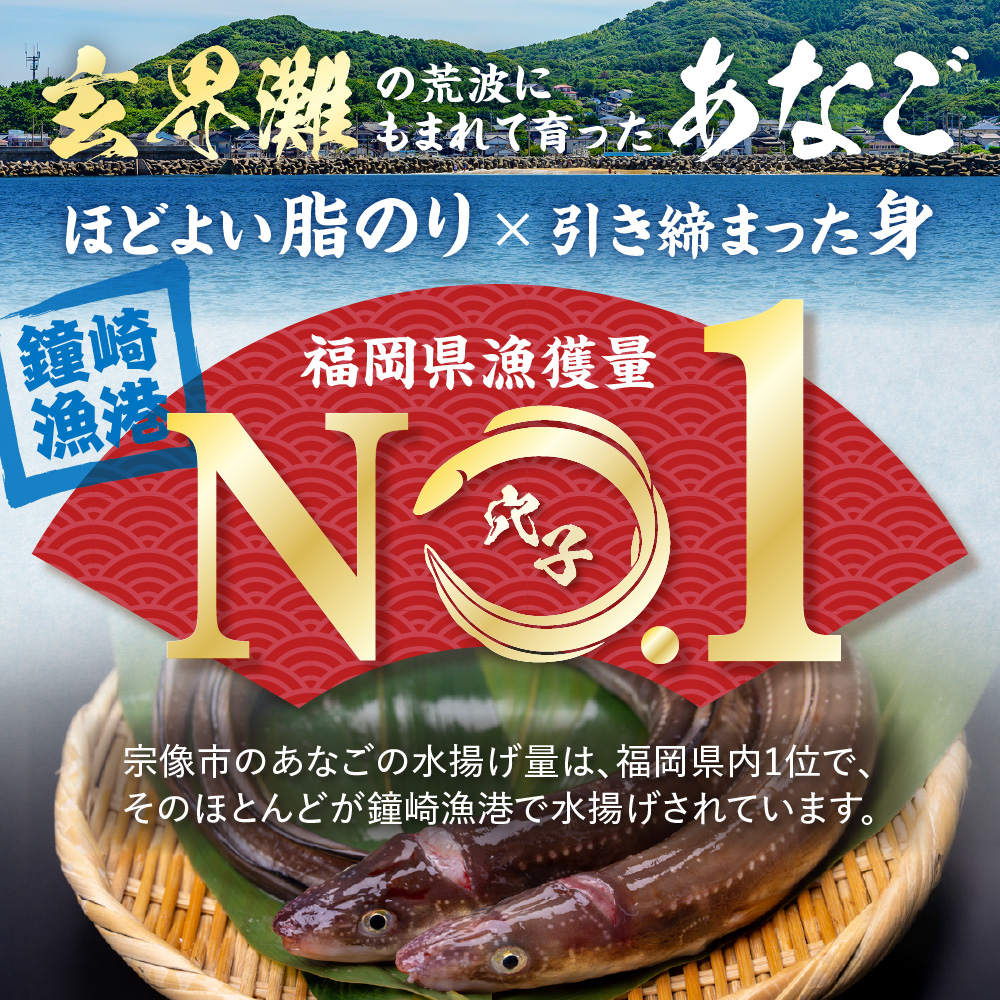 あなごセット（あなご炙り刺し、あなご刺身、煮あなご）【宗像漁協】_HA1518