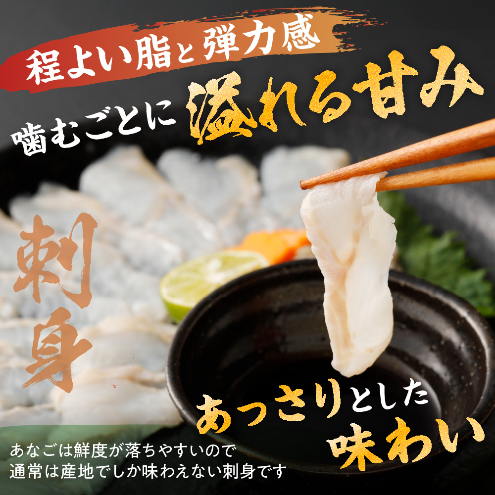 あなごセット（あなご炙り刺し、あなご刺身、煮あなご）【宗像漁協】_HA1518