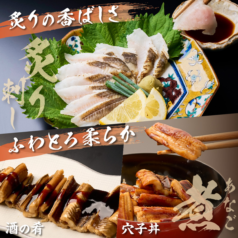 あなごセット（あなご炙り刺し、あなご刺身、煮あなご）【宗像漁協】_HA1518