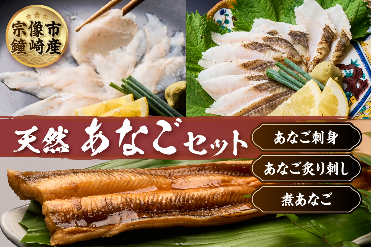 あなごセット（あなご炙り刺し、あなご刺身、煮あなご）【宗像漁協】_HA1518