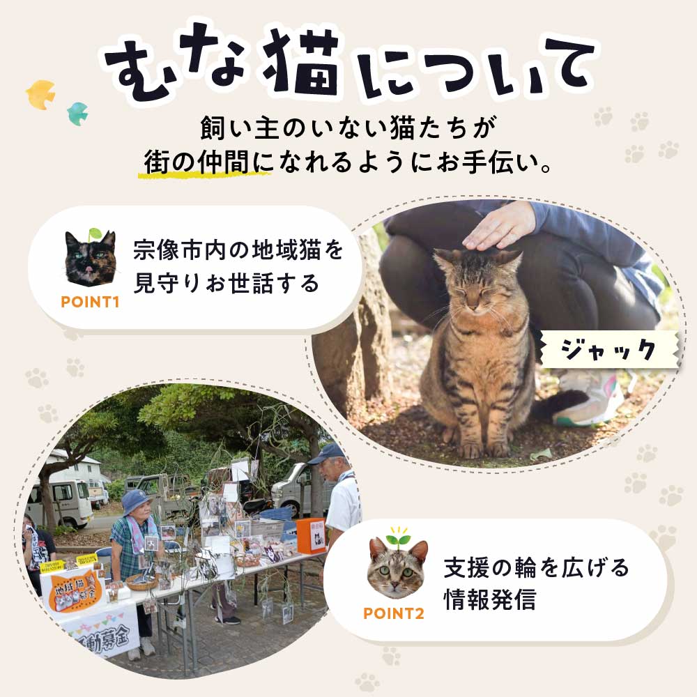 【返礼品なし】「「むな猫（旧：てくてくさくらねこ）」　地域猫活動支援【むな猫】_HA1118