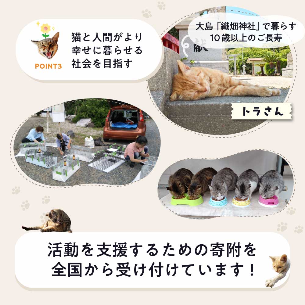 【返礼品なし】「「むな猫（旧：てくてくさくらねこ）」　地域猫活動支援【むな猫】_HA1118