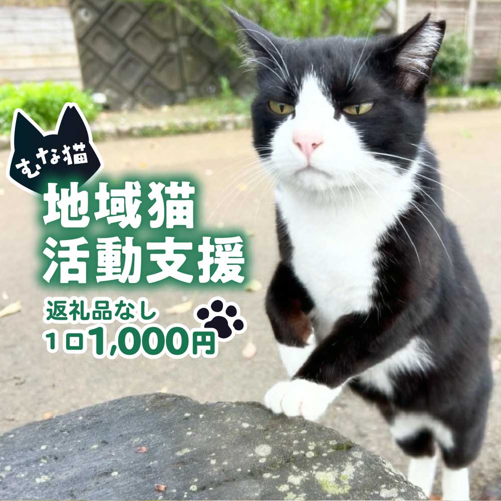 【返礼品なし】「「むな猫（旧：てくてくさくらねこ）」　地域猫活動支援【むな猫】_HA1118