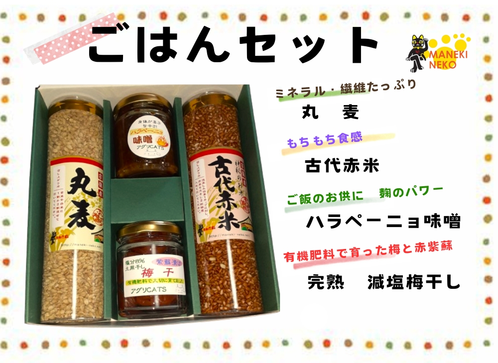 【一週間以内に発送】〈ギフト〉ごはんセット【アグリCATS】_HA1846