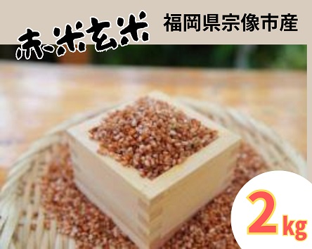 循環型有機肥料で育った赤米玄米（もち米）2kg【アグリCATS】_HA1441