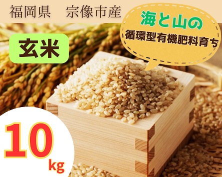 循環型有機肥料で育った玄米（夢つくし）10kg【アグリCATS】_HA1438