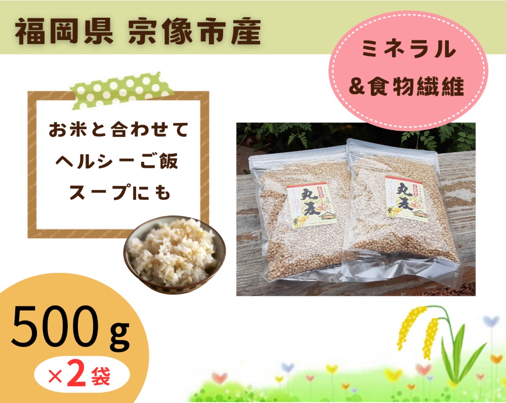 丸麦 1kg(500g×2袋)【アグリCATS】_HA1611