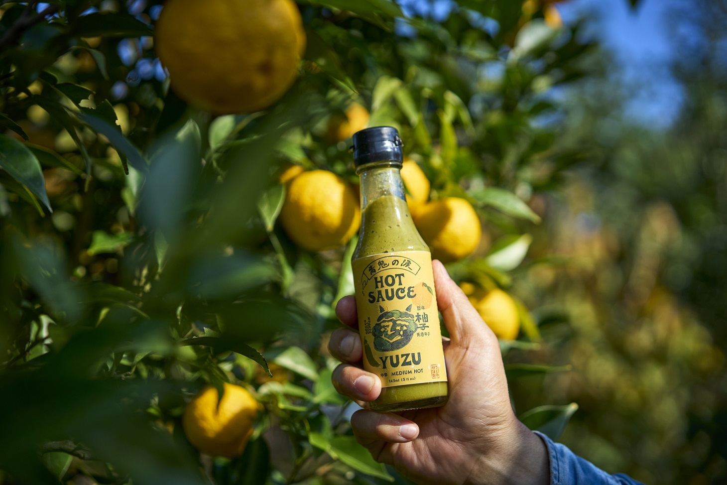 【一週間以内に発送】旨味爆発！柚子香る国産クラフトホットソース「青鬼の涙」3本セット【フミ子印】_HA1677