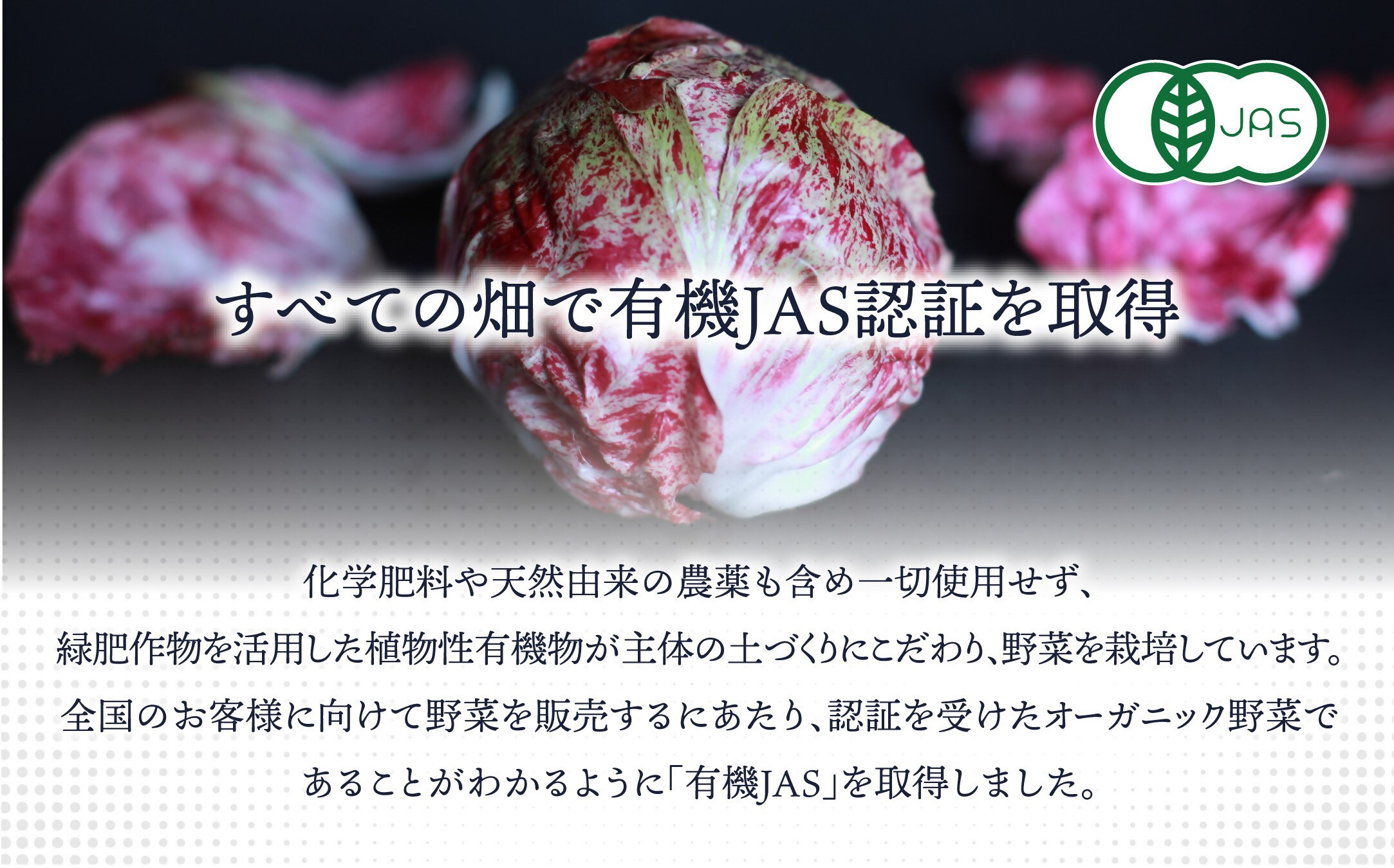 【定期便/年12回/毎月お届け】有機JAS認証 旬の野菜セット 8品【ぶたちゃんの畑】_HB0162