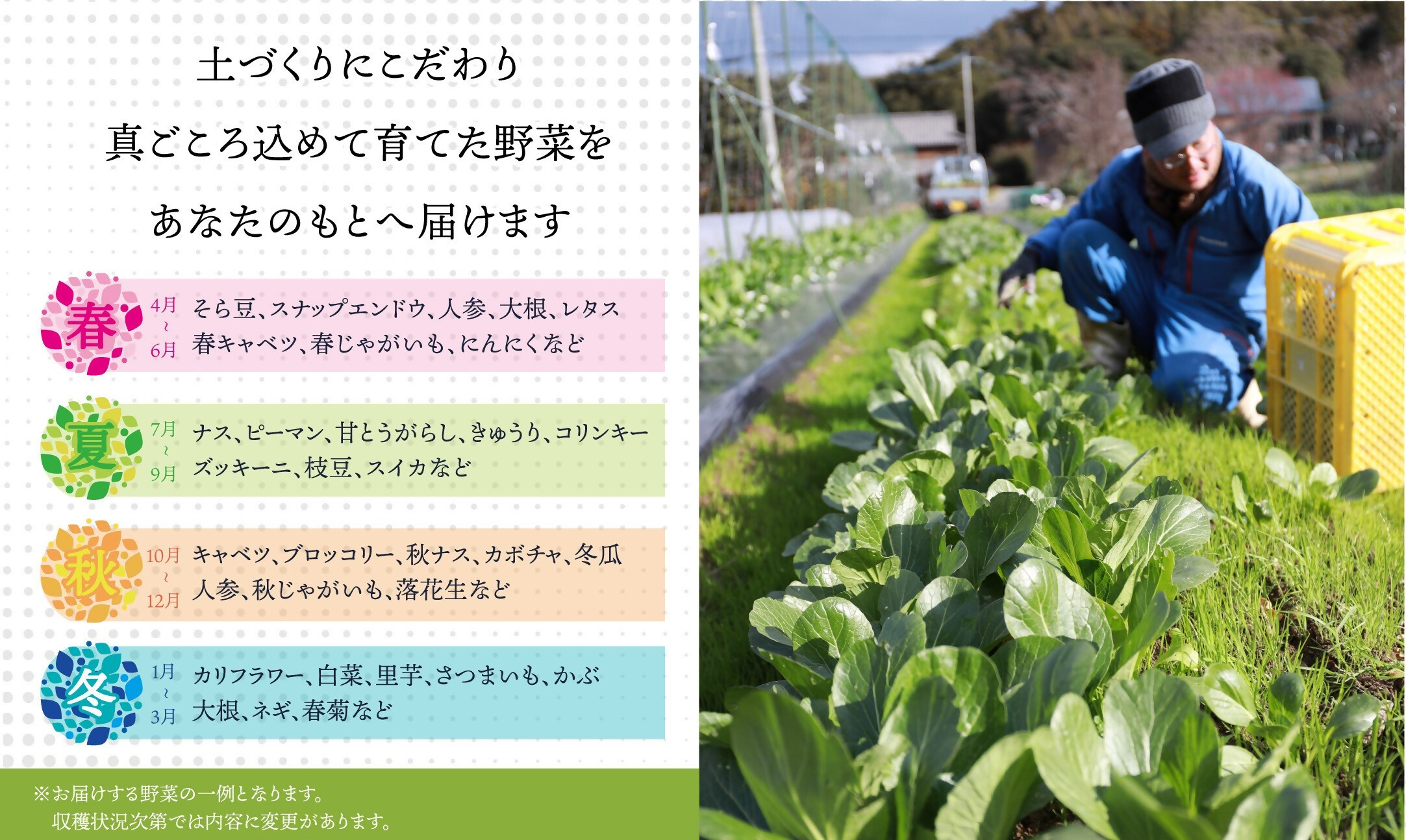 【定期便/年12回/毎月お届け】有機JAS認証 旬の野菜セット 8品【ぶたちゃんの畑】_HB0162