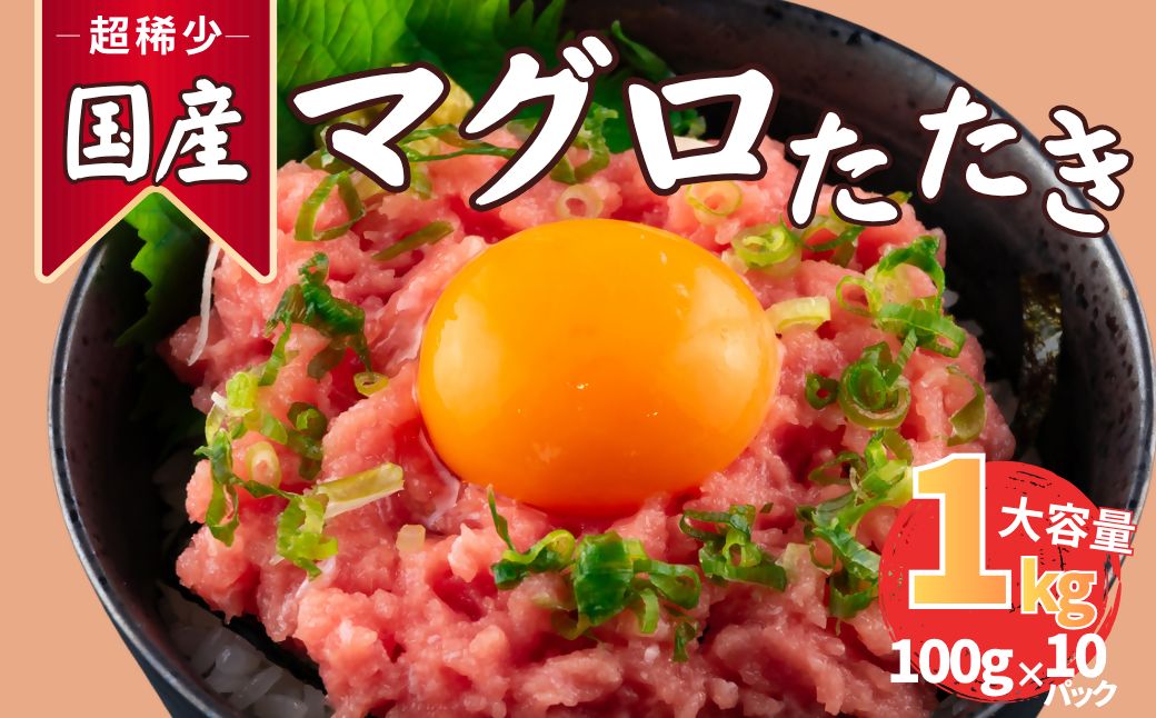 まぐろたたき ネギトロ(100g×10P)【魚住商店】_HA1975 まぐろ ねぎとろ 丼 おつまみ 国産 おかず 福岡県宗像市 宗像市 福岡 宗像