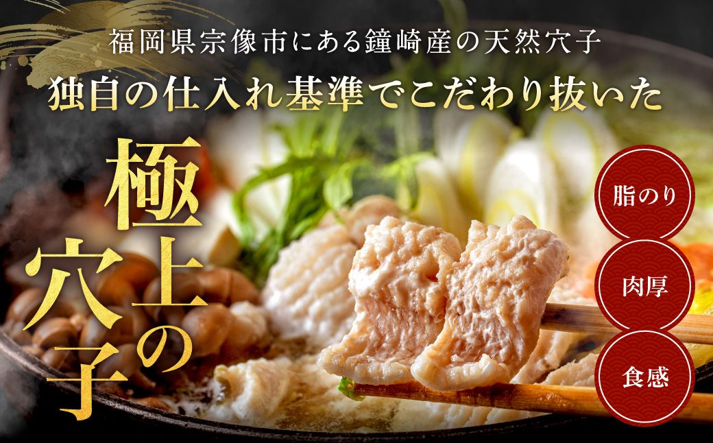 【鐘崎産天然穴子】国産天然穴子鍋セット(4〜6人前) 【魚住商店】_HA1994 海鮮鍋 穴子鍋 鐘崎産 あなご鍋 贅沢鍋セット お取り寄せ 福岡県宗像市 宗像市 福岡 宗像