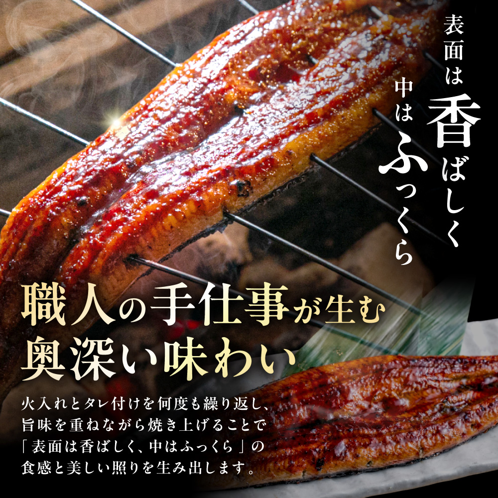 ãèš³ãããèèéå±ã®ãã ããåœç£é°» ããªãã®è²çŒã2å°Ÿã»ãããéäœååºã_HA1996 ããªã åœç£ ãã ãã äžã®æ¥ ãããã çŠå²¡çå®ååž å®ååž çŠå²¡ å®å