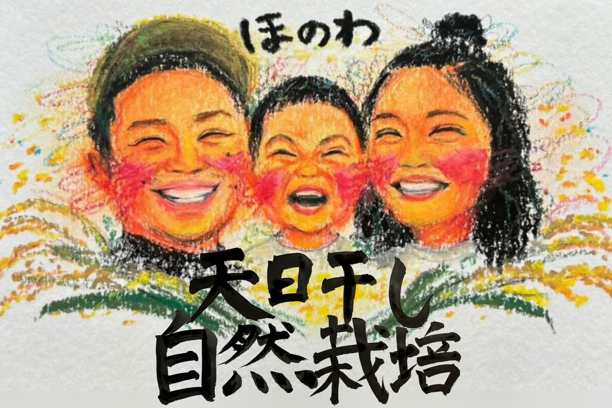 【天日干し米】【定期便全6回】栽培期間中農薬・肥料不使用ひのひかり5kg【ほのわ】_HB0185