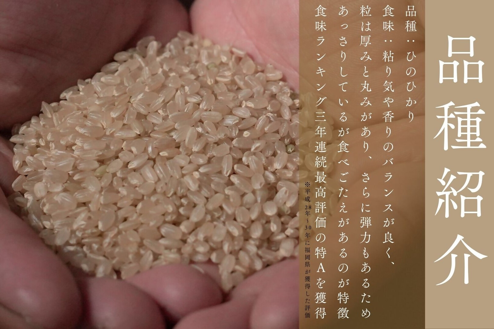 【天日干し米】【定期便全6回】栽培期間中農薬・肥料不使用ひのひかり5kg【ほのわ】_HB0185