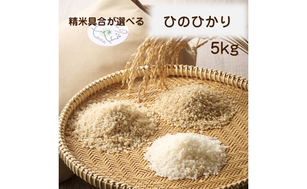 令和8年産 新米予約受付！自然栽培米ひのひかり5kg〈栽培期間中農薬・肥料不使用〉【ほのわ】_HA1609