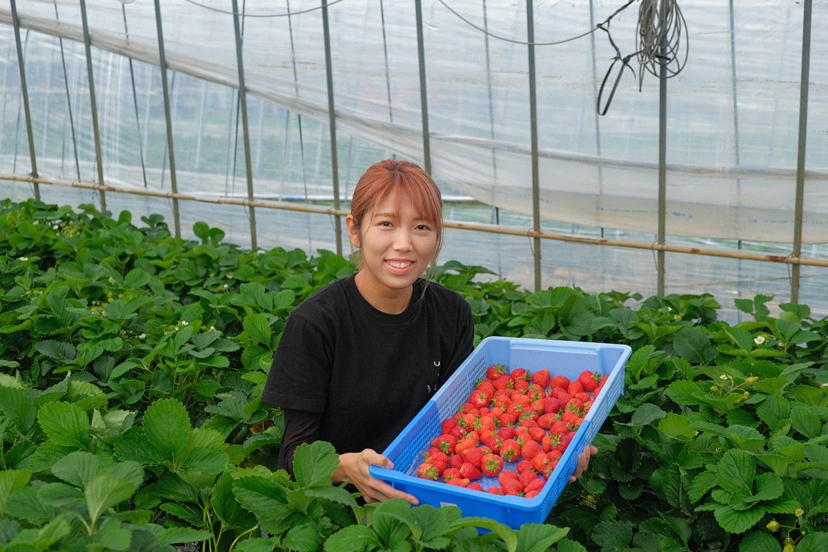 特別栽培あまおうDX4パック【うるう農園】_HA1966