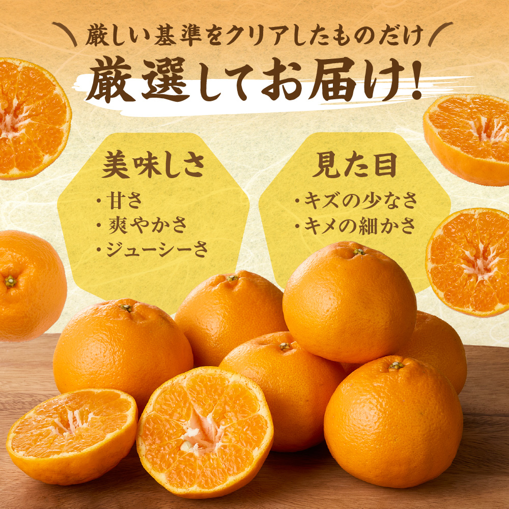 旬のミカンをお届け！JAむなかた柑橘ブランド「姫神」3kg 甘くておいしいみかん【2026年1月～4月上旬発送】【ほたるの里】_HA0281