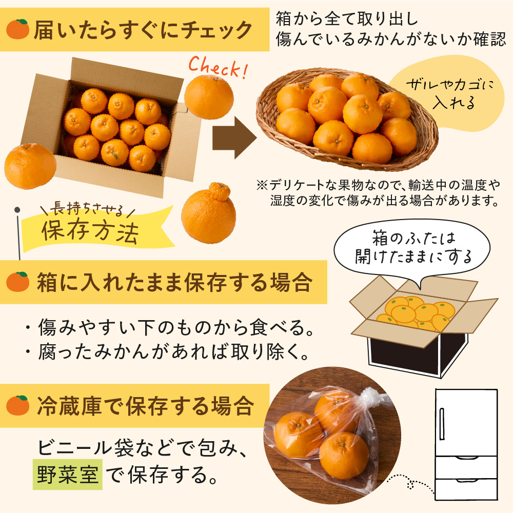 旬のミカンをお届け！JAむなかた柑橘ブランド「姫神」3kg 甘くておいしいみかん【2026年1月～4月上旬発送】【ほたるの里】_HA0281