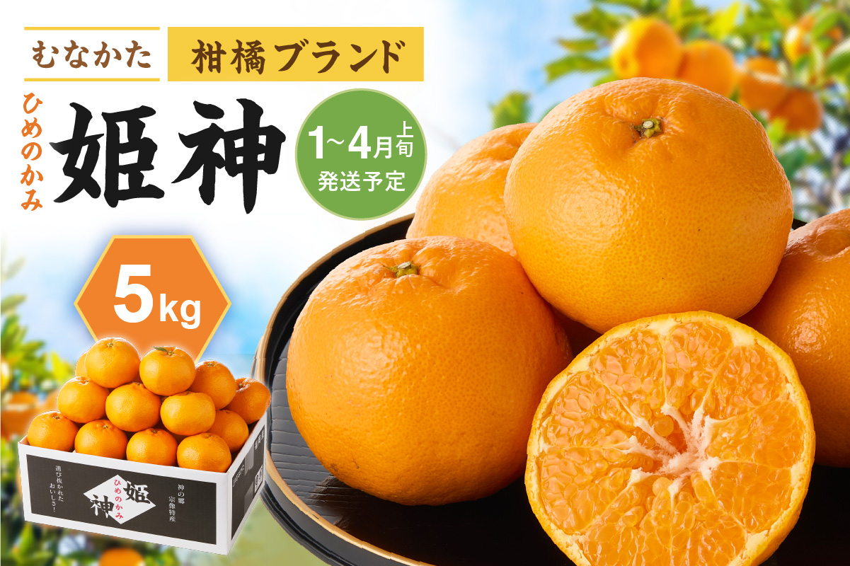 旬のミカンをお届け！JAむなかた柑橘ブランド「姫神」5kg 甘くておいしいみかん【2026年1月～4月上旬発送】【ほたるの里】_HA0280