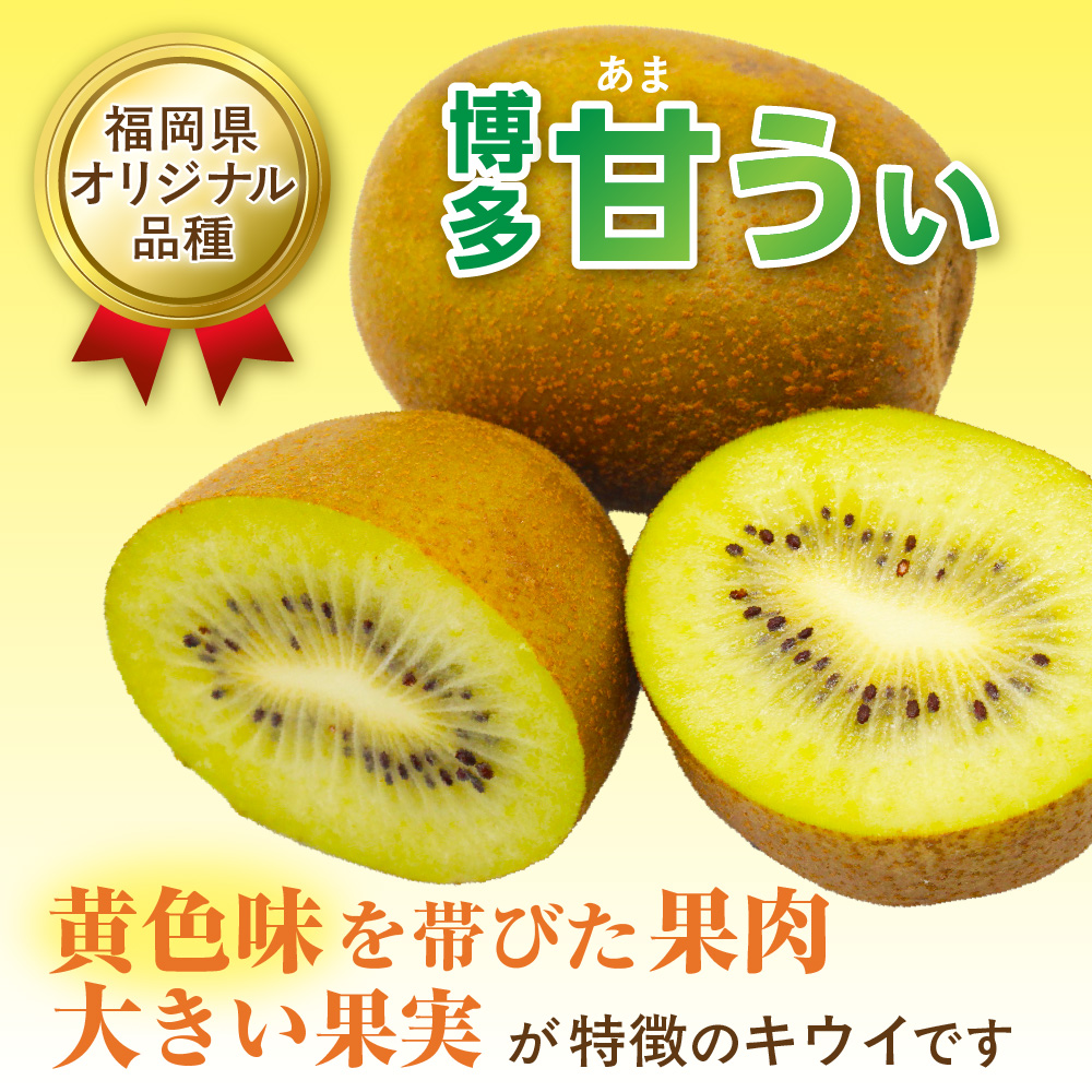 【2026年収穫分 先行予約!】〈ギフト〉福岡県ブランド！キウイフルーツ「博多甘うぃ」約1.4kg化粧箱入り【ほたるの里】_HA0943