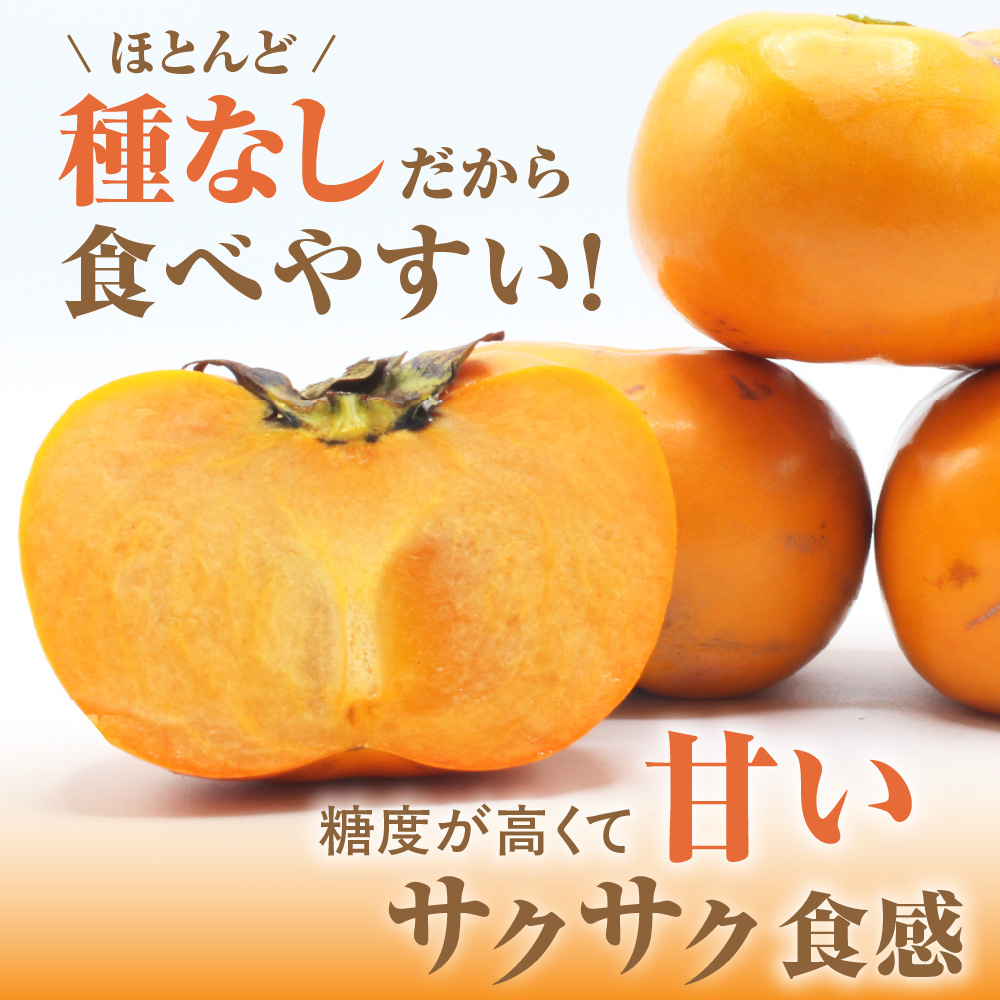 【2026年収穫分 先行予約!】福岡県ブランド柿「秋王」化粧箱約1.75kg【JAほたるの里】_HA1318