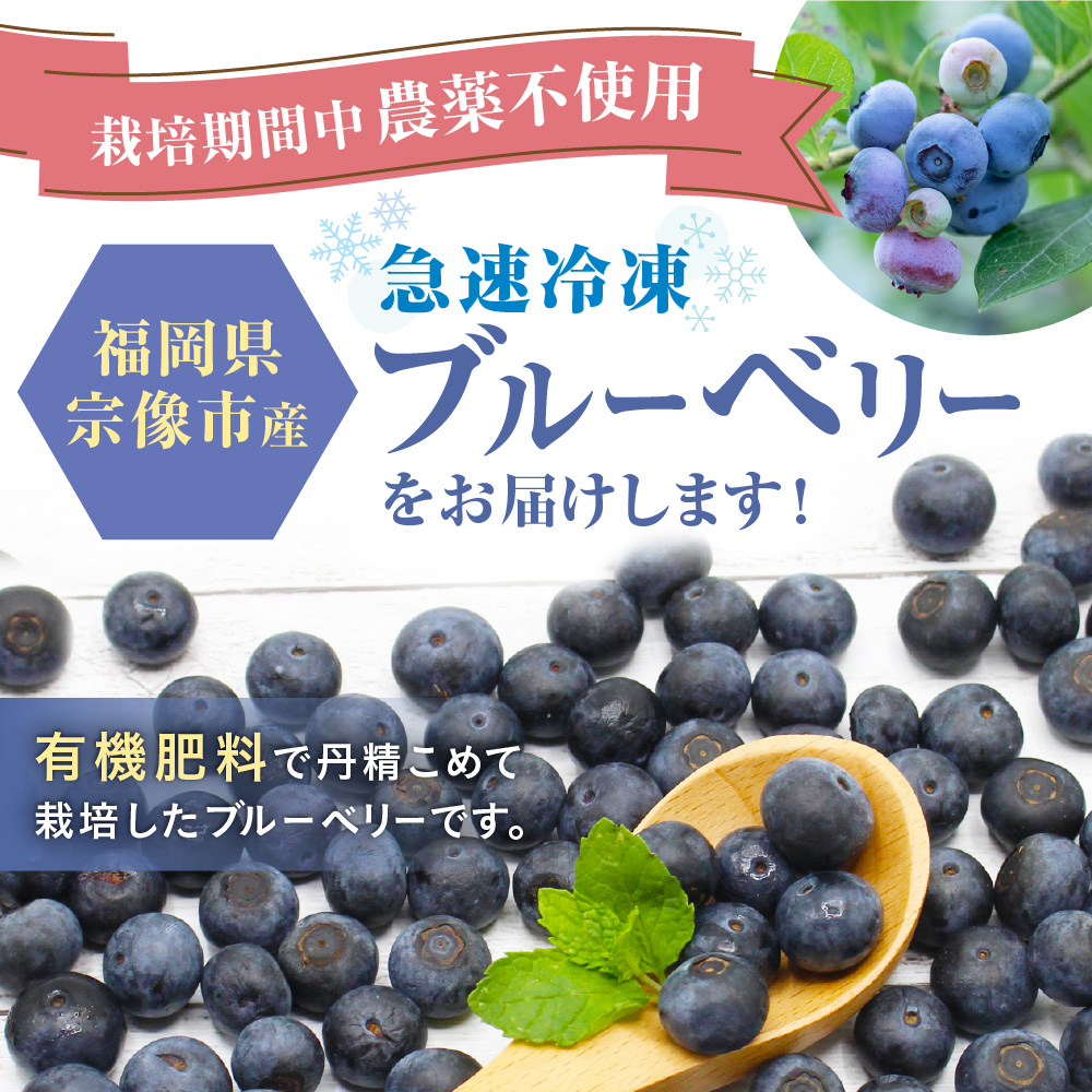 ææ©æ œå¹ã»æ œå¹æéäžèŸ²è¬äžäœ¿çšïŒæ¥éå·åãã«ãŒããªãŒ 1.2kg ãJAã»ããã®éã_HA1517