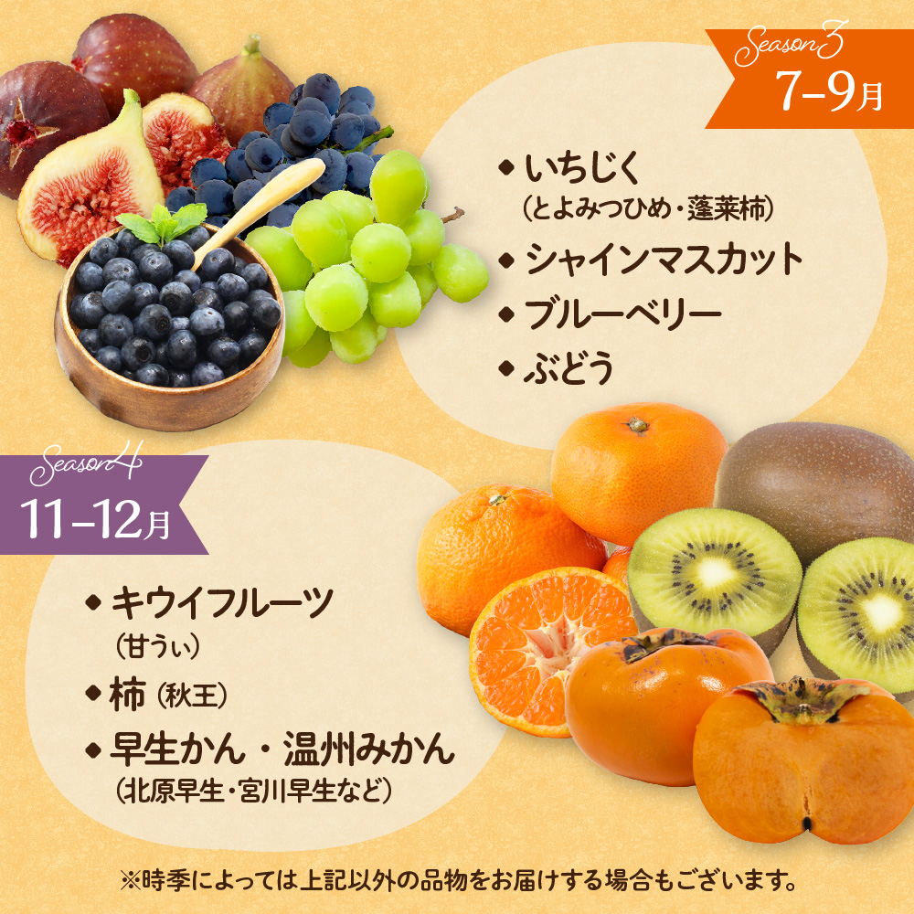 何が届くかお楽しみ！むなかた旬のフルーツ福袋定期便【年4回】【JAほたるの里】_HB0165