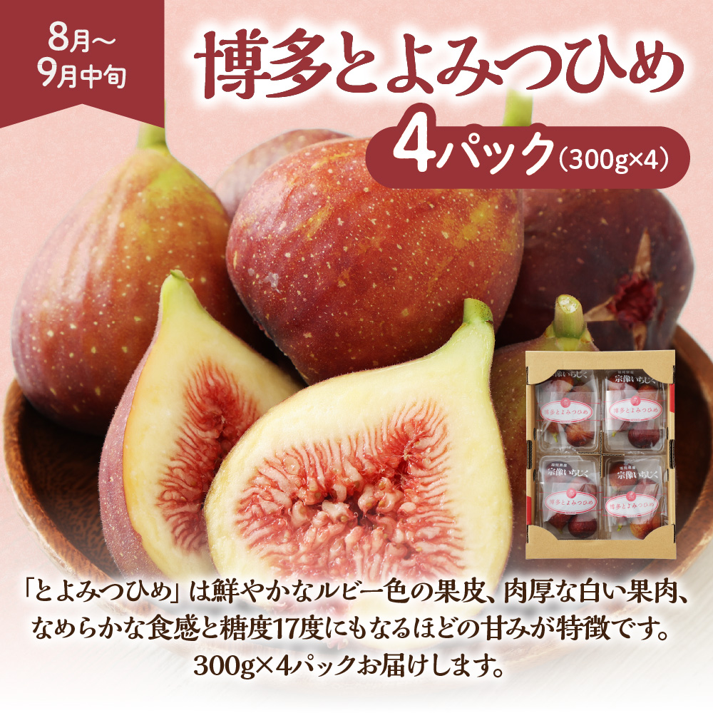 【定期便/年４回】旬の福岡フルーツ定期便【ほたるの里】_HB0087