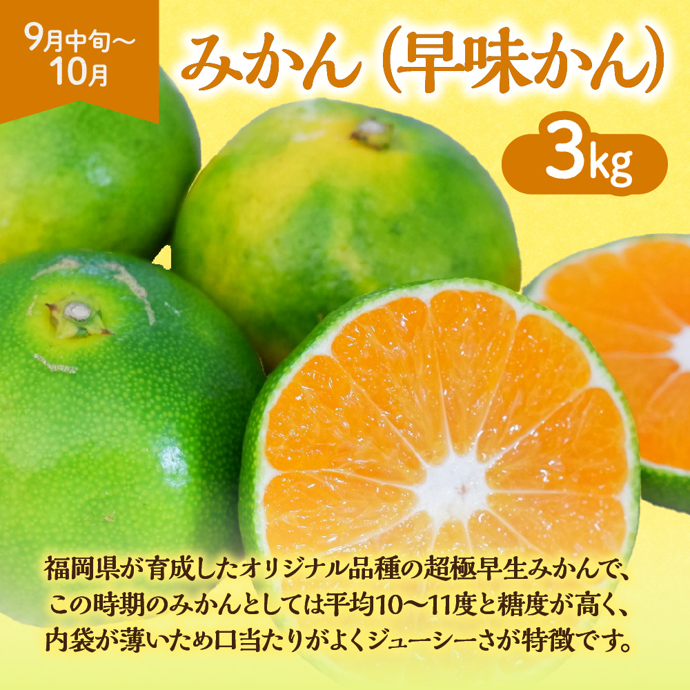 【定期便/年４回】旬の福岡フルーツ定期便【ほたるの里】_HB0087