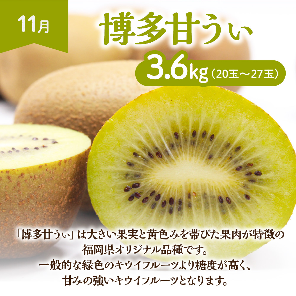 【定期便/年４回】旬の福岡フルーツ定期便【ほたるの里】_HB0087