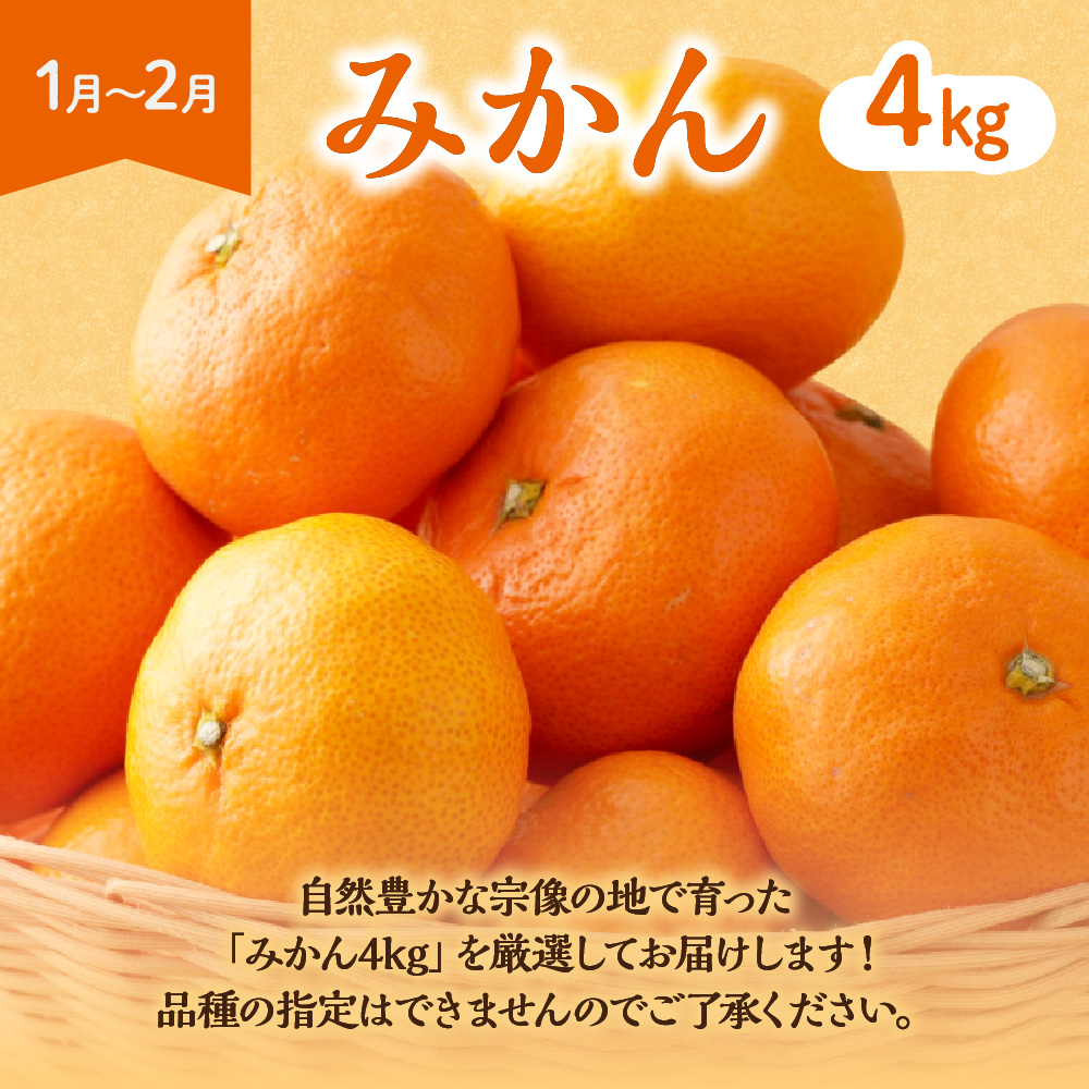 【定期便/年6回】むなかた旬のフルーツ6回定期便【ほたるの里】_HB0090